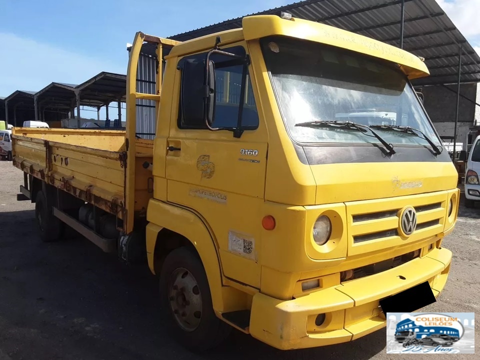 Volkswagen Delivery 9.160 2013