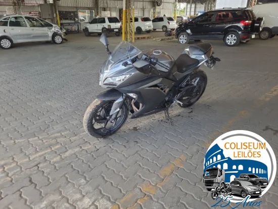 Kawasaki Ninja 300 ANO 2013/2014